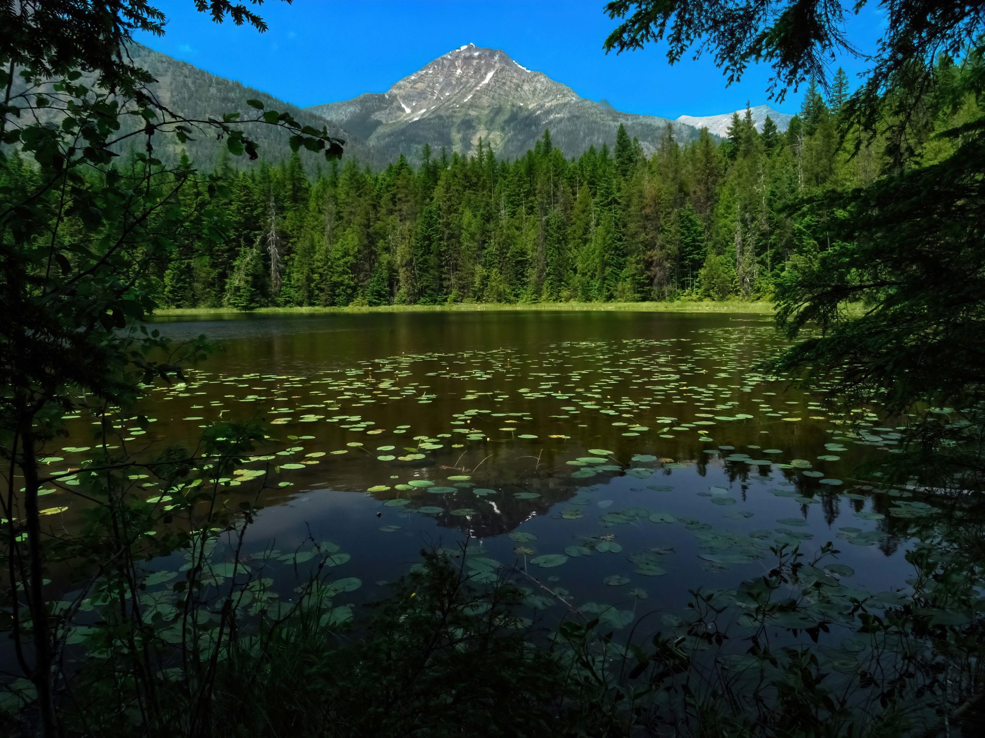 West Glacier's Easiest Loop: Discover Johns Lake & McDonald Creek